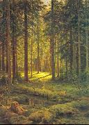 Ivan Shishkin Coniferous Forest, Sunny Day painting